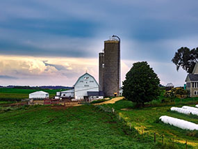 Cattle Shed - Minot, ND 1