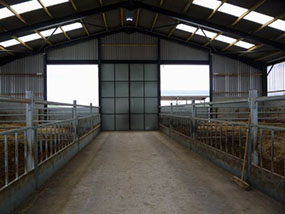 Cattle-Shed-Bismarck-ND-North-Dakota-2