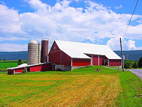 Cattle-Shed-Mandan-North-Dakota-ND-1