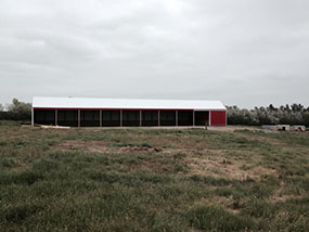 Cattle-Shed-Devils-Lake-ND-North-Dakota-1