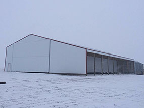 Cattle-Shed-Devils-Lake-ND-North-Dakota-2