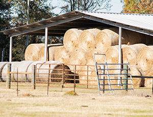 Pole Barn1